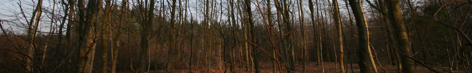 Slider_02