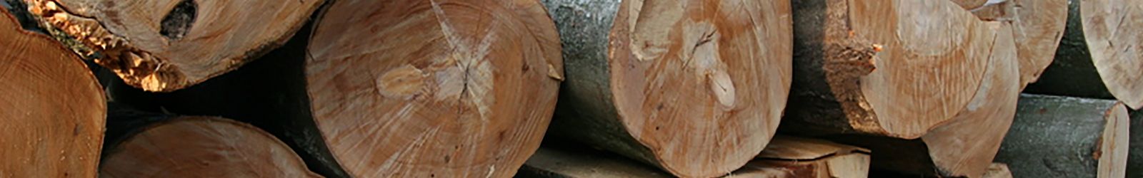 Slider_12