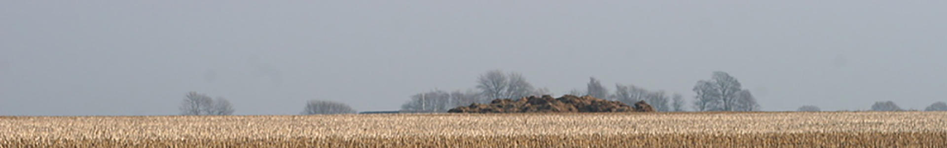 Slider_13